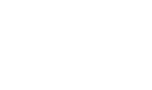 Indy Black Professionals