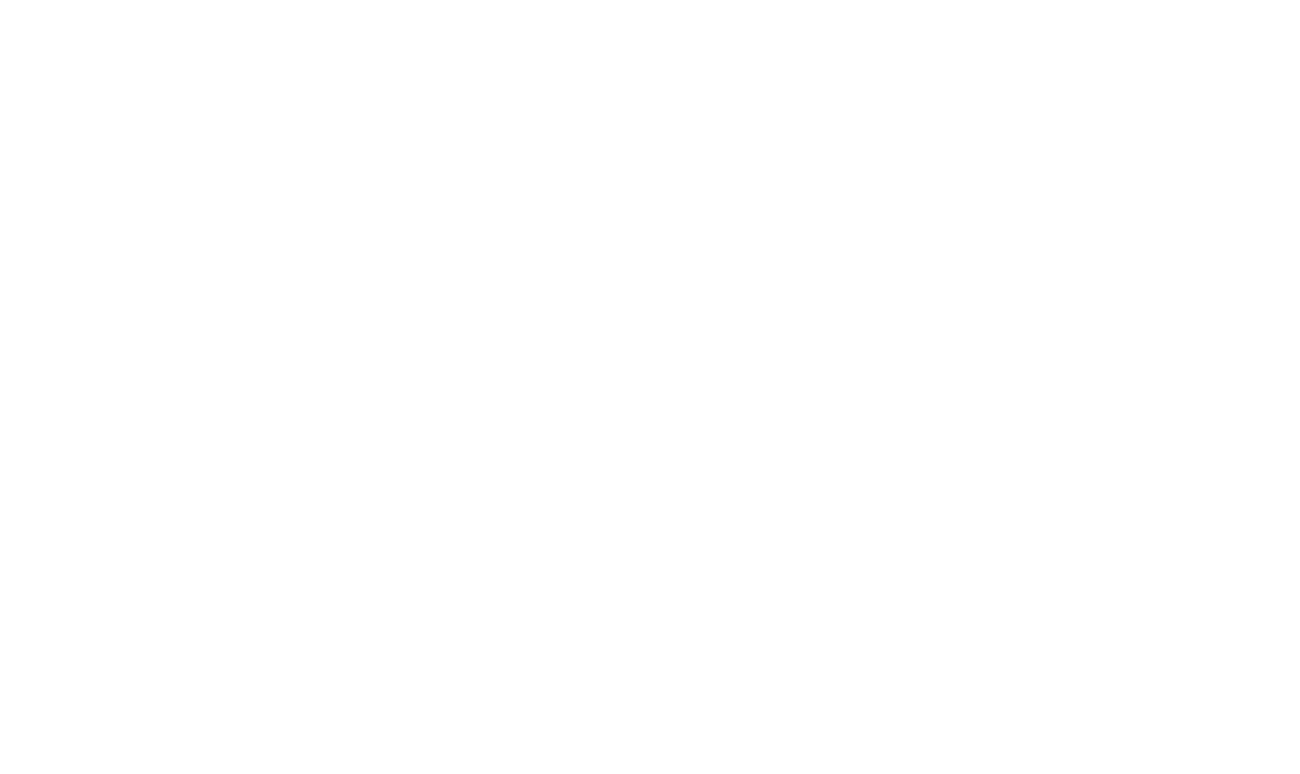 Indy Black Professionals